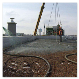 Sedum rezky - hydroosev strechy